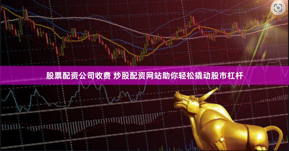 股票配资公司收费 炒股配资网站助你轻松撬动股市杠杆