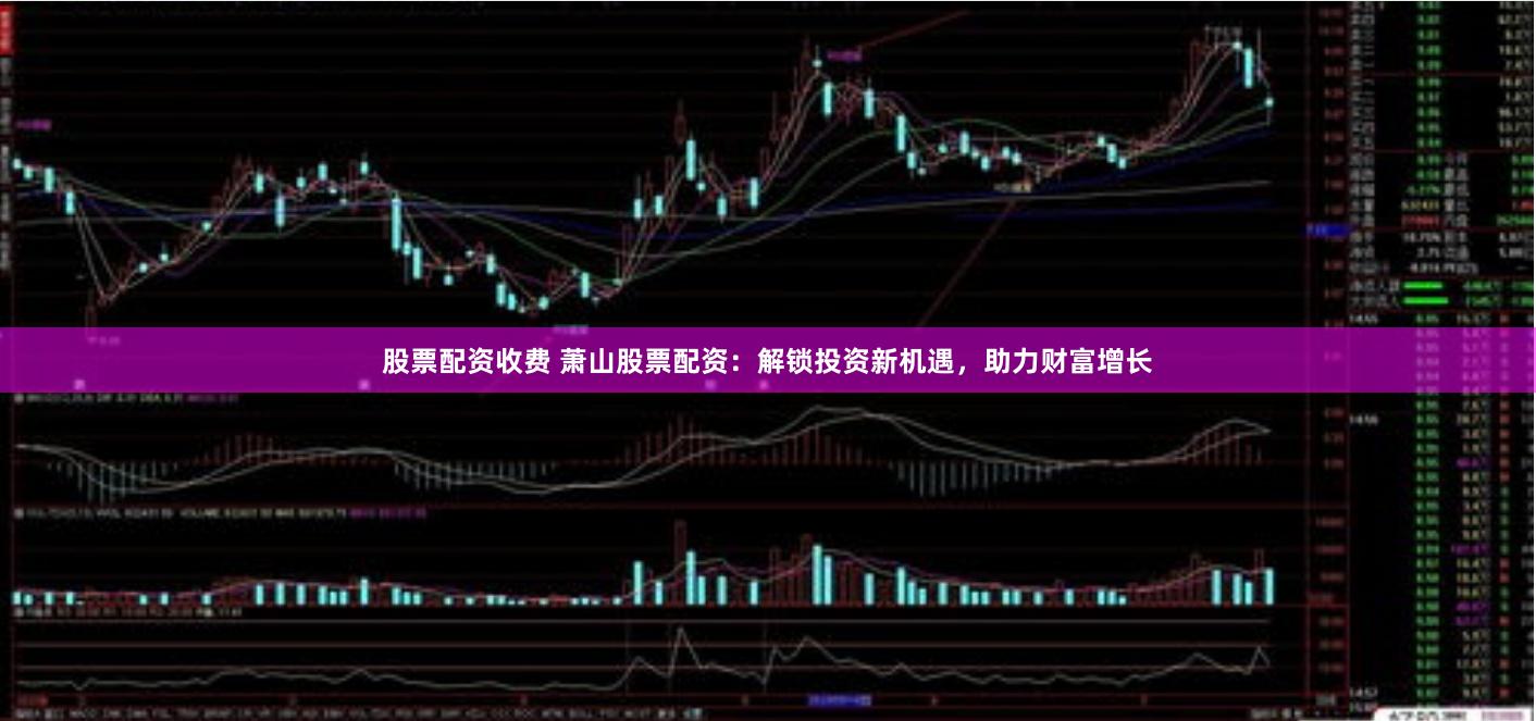 股票配资收费 萧山股票配资：解锁投资新机遇，助力财富增长